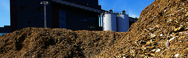 biomass power generation